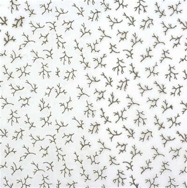 Lee Jofa Fabric 2007175.116 Oceana Sheer Driftwood
