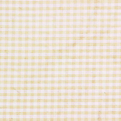 Lee Jofa Fabric 2009146.116 Rhea Check Sand