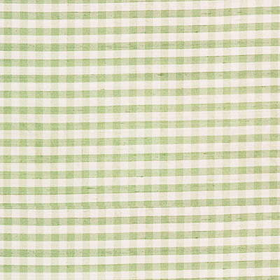 Lee Jofa Fabric 2009146.130 Rhea Check Grass