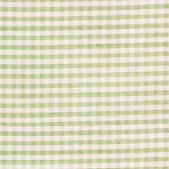 Lee Jofa Fabric 2009146.130 Rhea Check Grass