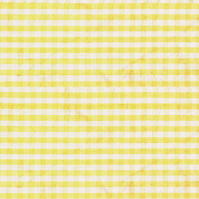 Lee Jofa Fabric 2009146.40 Rhea Check Sun