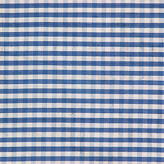 Lee Jofa Fabric 2009146.515 Rhea Check Navy
