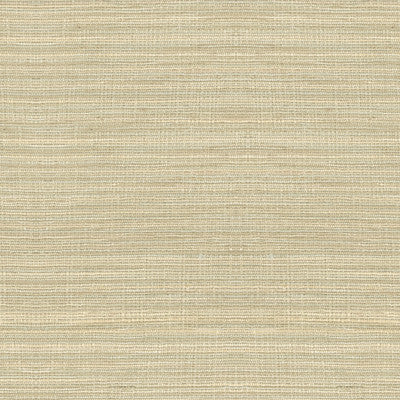 Lee Jofa Fabric 2009147.116 Spectre Silk Shell