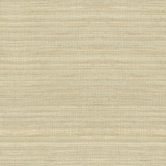 Lee Jofa Fabric 2009147.116 Spectre Silk Shell