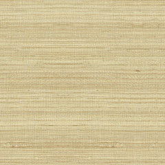 Lee Jofa Fabric 2009147.16 Spectre Silk Pearl