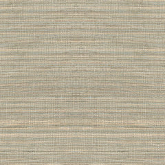 Lee Jofa Fabric 2009147.1635 Spectre Silk Mist