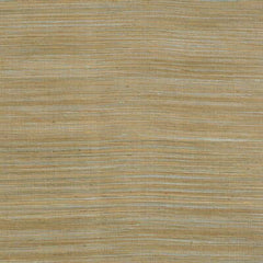 Lee Jofa Fabric 2009147.435 Spectre Silk Autumn