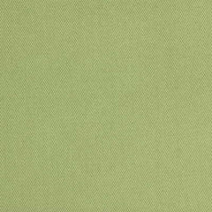 Lee Jofa Fabric 2009151.323 Twill Luxe Celery