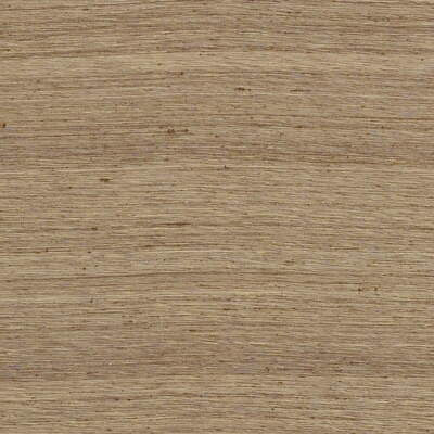 Lee Jofa Fabric 2009153.1616 Seema Silk Bark