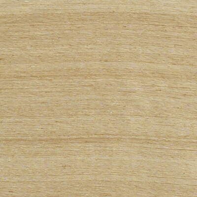 Lee Jofa Fabric 2009153.416 Seema Silk Wheat