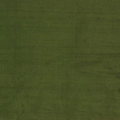 Lee Jofa Fabric 2009157.30 Shayla Silk Sprout