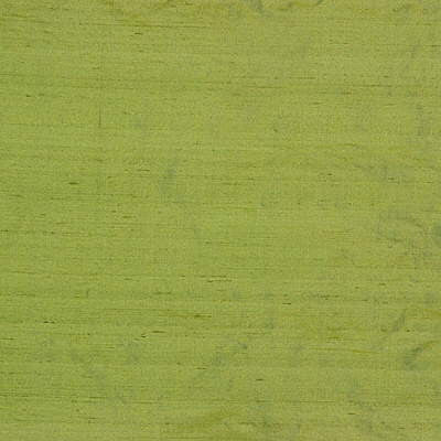 Lee Jofa Fabric 2009157.303 Shayla Silk Pea