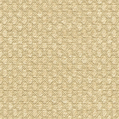 Lee Jofa Fabric 2010113.1 Beehive Rye