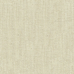 Lee Jofa Fabric 2010147.11 Lexington Tweed Dove