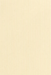 FSchumacher Wallpaper 203792 Newport Stripe Maize