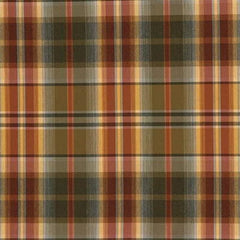 Kravet Design Fabric 21209.324 KF DES-UPH