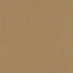 FSchumacher Fabric 22618 Sargent Silk Taffeta Sand