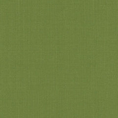 FSchumacher Fabric 22653 Sargent Silk Taffeta Leaf