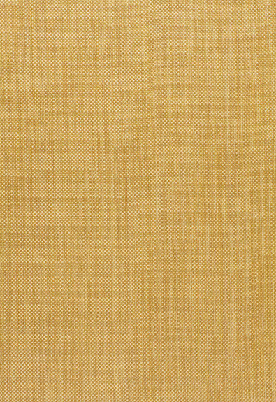 FSchumacher Fabric 25830 Raffia Texture Sand