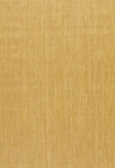 FSchumacher Fabric 25830 Raffia Texture Sand