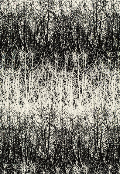 FSchumacher Fabric 2644021 Birches Black