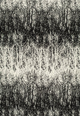 FSchumacher Fabric 2644021 Birches Black