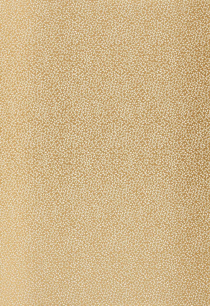 FSchumacher Fabric 2644521 Kyousha Silk Champagne