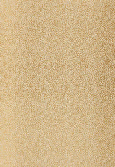 FSchumacher Fabric 2644521 Kyousha Silk Champagne