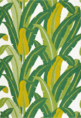 FSchumacher Wallpaper 2707230 Tropical Isle Green On White