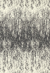 FSchumacher Wallpaper 2707243 Birches Black, White