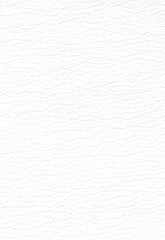 FSchumacher Fabric 291-0001 Ultraleather White