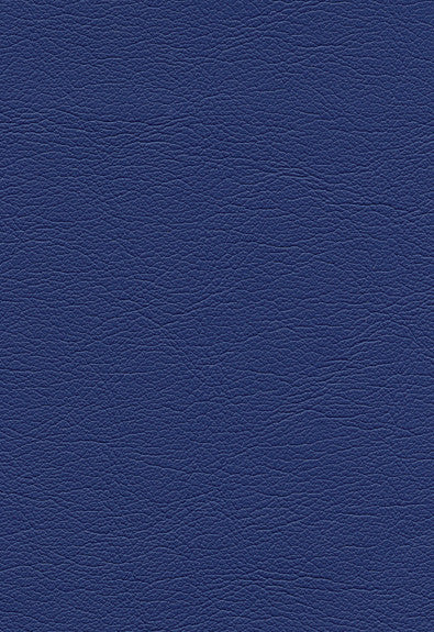 FSchumacher Fabric 291-2551 Ultraleather Baltic