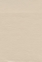 FSchumacher Fabric 291-3719 Ultraleather Champagne