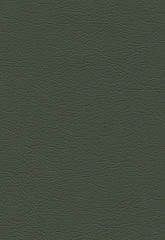 FSchumacher Fabric 291-4352 Ultraleather Loden