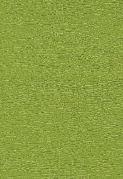 FSchumacher Fabric 291-4460 Ultraleather Parrot