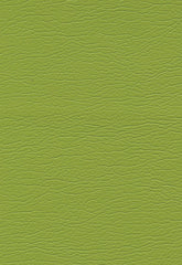 FSchumacher Fabric 291-4460 Ultraleather Parrot