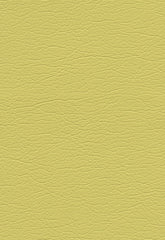 FSchumacher Fabric 291-5255 Ultraleather Bamboo
