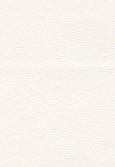 FSchumacher Fabric 291-5805 Ultraleather Ermine