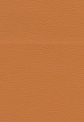 FSchumacher Fabric 291-8243 Ultraleather Apricot