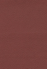FSchumacher Fabric 303-1373 Brisa Raisin