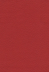 FSchumacher Fabric 303-1383 Brisa Pompeiian Red