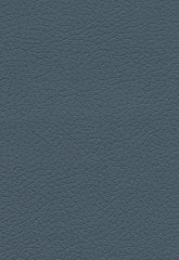 FSchumacher Fabric 303-2645 Brisa Federal