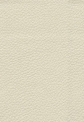 FSchumacher Fabric 303-3019 Brisa Birch
