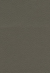 FSchumacher Fabric 303-3022 Brisa Shitake