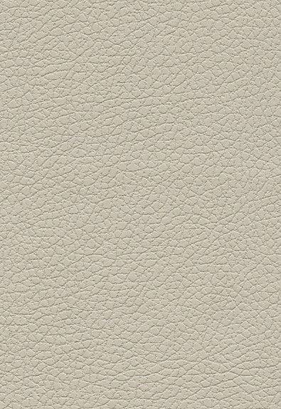 FSchumacher Fabric 303-3822 Brisa Fog