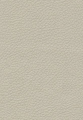 FSchumacher Fabric 303-3822 Brisa Fog