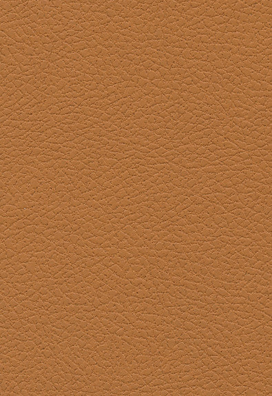 FSchumacher Fabric 303-3823 Brisa Aztec