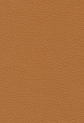 FSchumacher Fabric 303-3823 Brisa Aztec