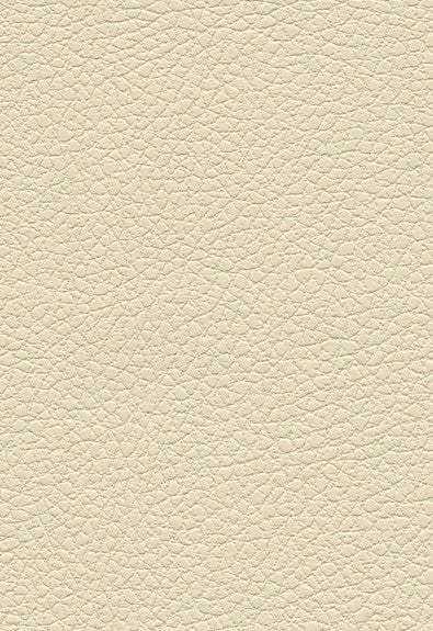FSchumacher Fabric 303-3863 Brisa Cream