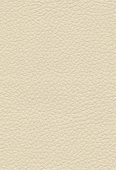 FSchumacher Fabric 303-3863 Brisa Cream